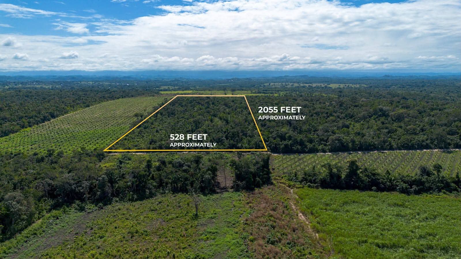 Property view 5